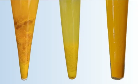 news-448-274 news-448-274