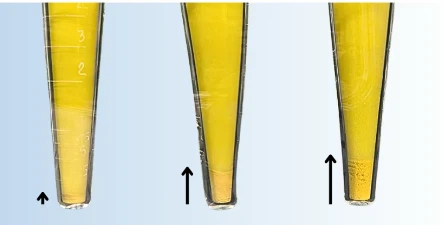 news-444-225 news-444-225